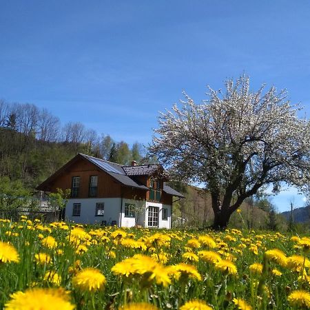 Gaestehaus Blonbauer Daire Schladming Dış mekan fotoğraf