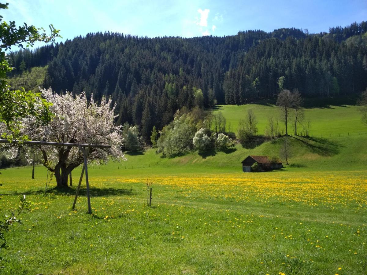 Gaestehaus Blonbauer Daire Schladming Dış mekan fotoğraf