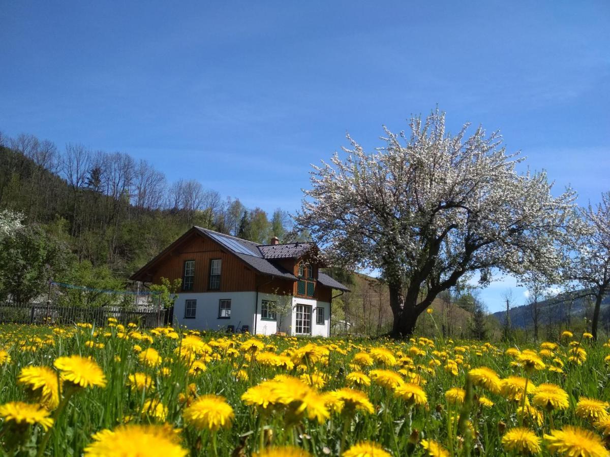 Gaestehaus Blonbauer Daire Schladming Dış mekan fotoğraf