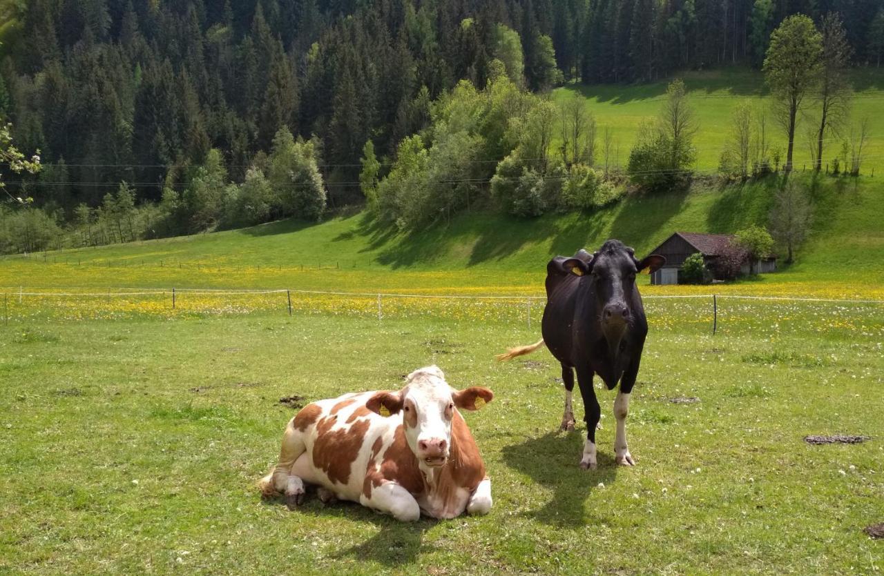 Gaestehaus Blonbauer Daire Schladming Dış mekan fotoğraf